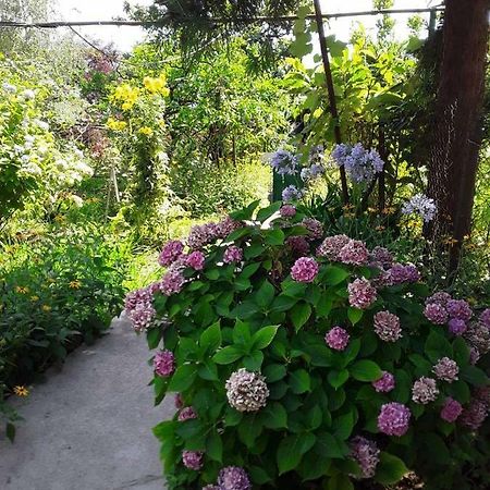 Zeleniy Dvorik Guest House New Athos Exterior foto